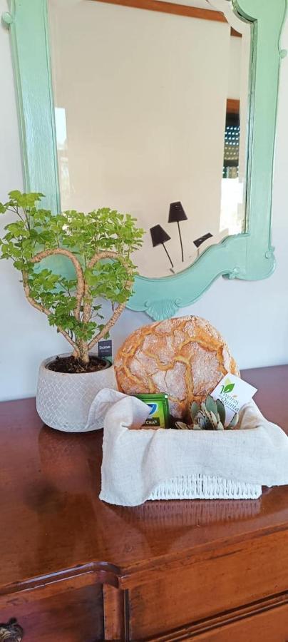 Big Fish 1 - Charming Beach Apartment Praia de Mira Luaran gambar